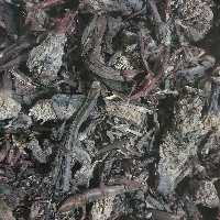 هوا چوبه( ابوخلسا ) 500 گرم 