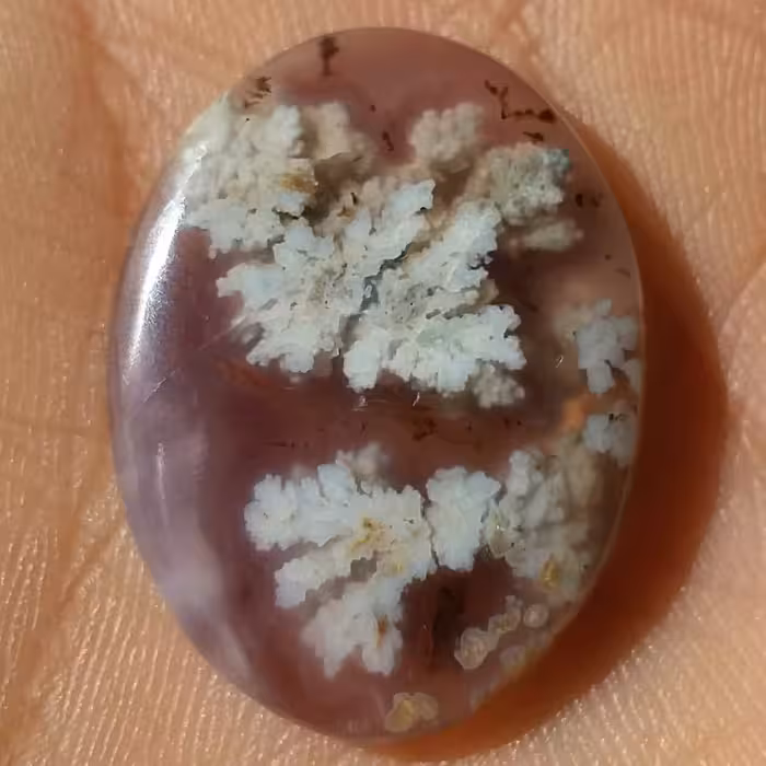 نگین شجر شکوفه زمینه سوسنی دو طرفه خاااص محشششر 100درصد طبیعی