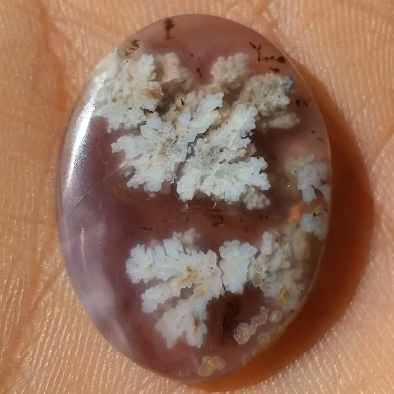 نگین شجر شکوفه زمینه سوسنی دو طرفه خاااص محشششر 100درصد طبیعی