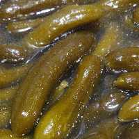 خیارشور نمکی درجه یک 