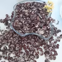 لوبیا عروس خوشپخت امسالی(2.7کیلو گرم)