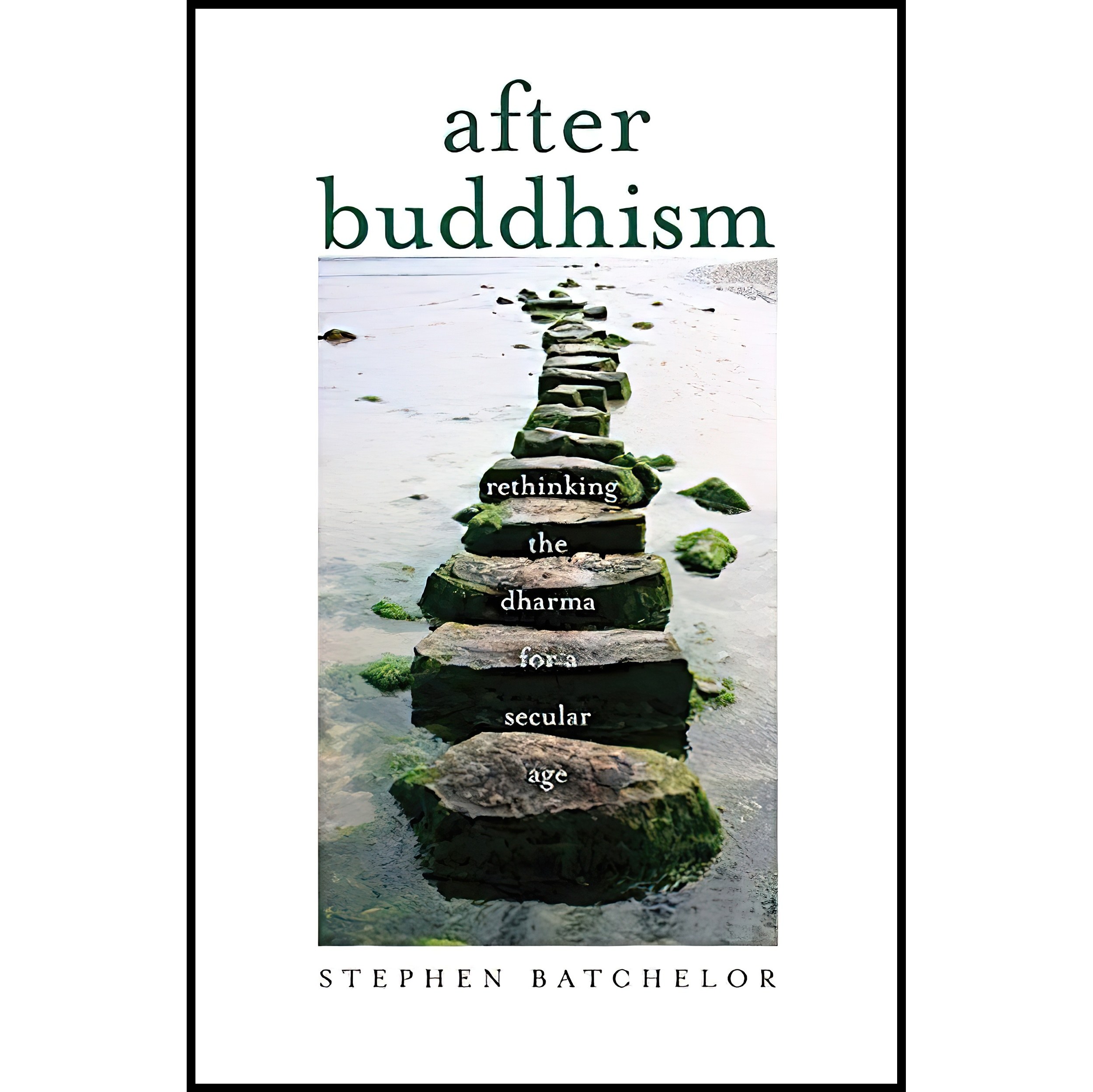 کتاب زبان اصلی After Buddhism اثر Stephen Batchelor