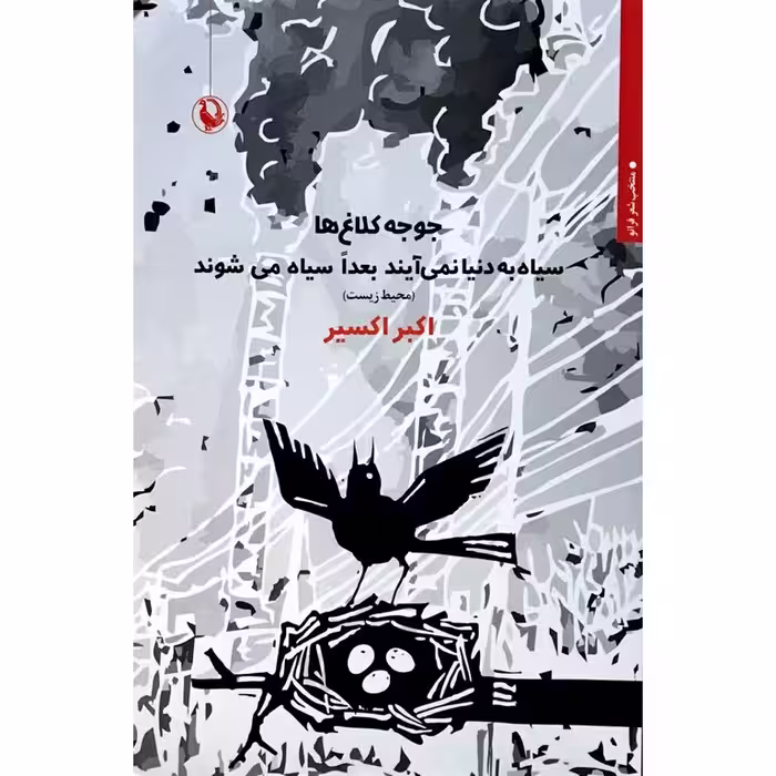 جوجه کلاغ ها سیاه به دنیا نمی آیند بعدا سیاه می شوند