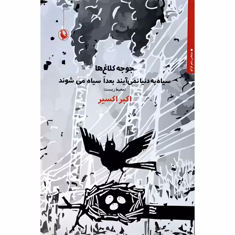 جوجه کلاغ ها سیاه به دنیا نمی آیند بعدا سیاه می شوند