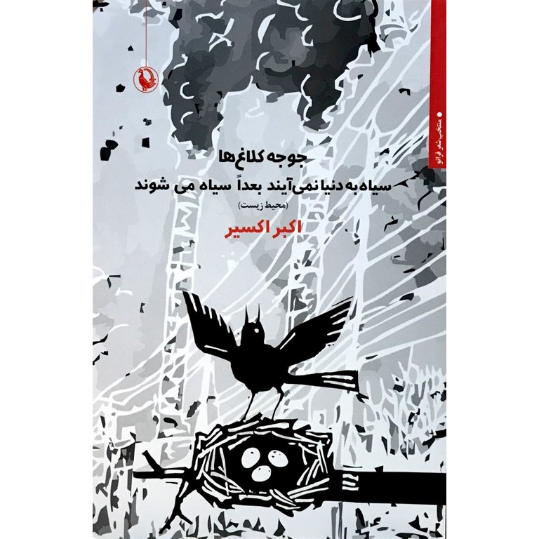 جوجه کلاغ ها سیاه به دنیا نمی آیند بعدا سیاه می شوند
