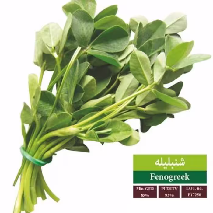 بذر شنبلیله