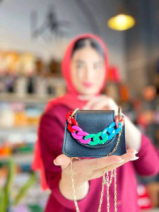 مینی بگ پاسپورتی