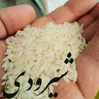 برنج شمال شیرودی جواهری  فریدونکنار