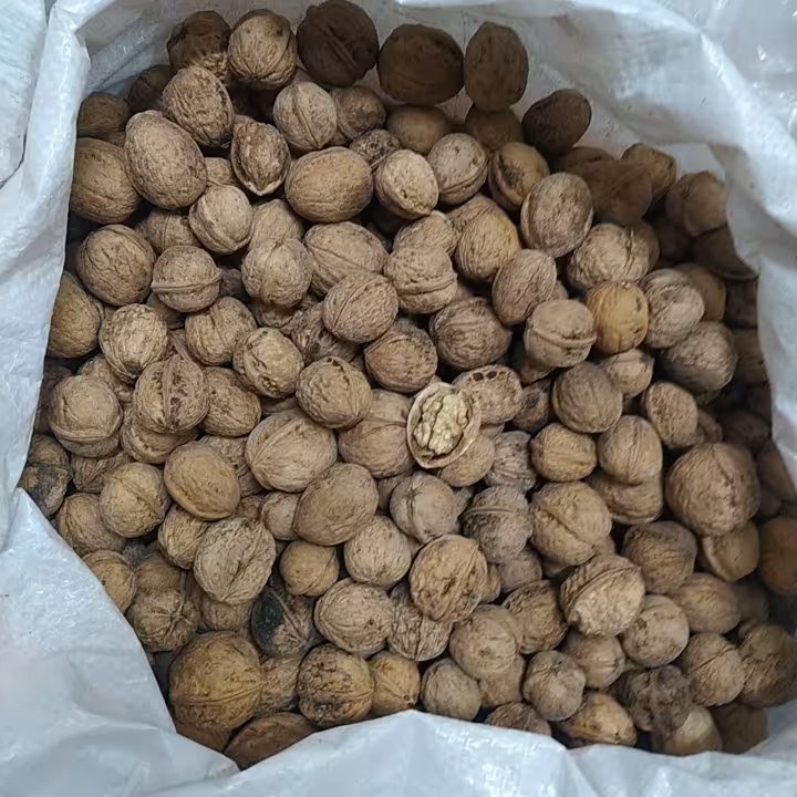 گردو امسالی 900 گرمی