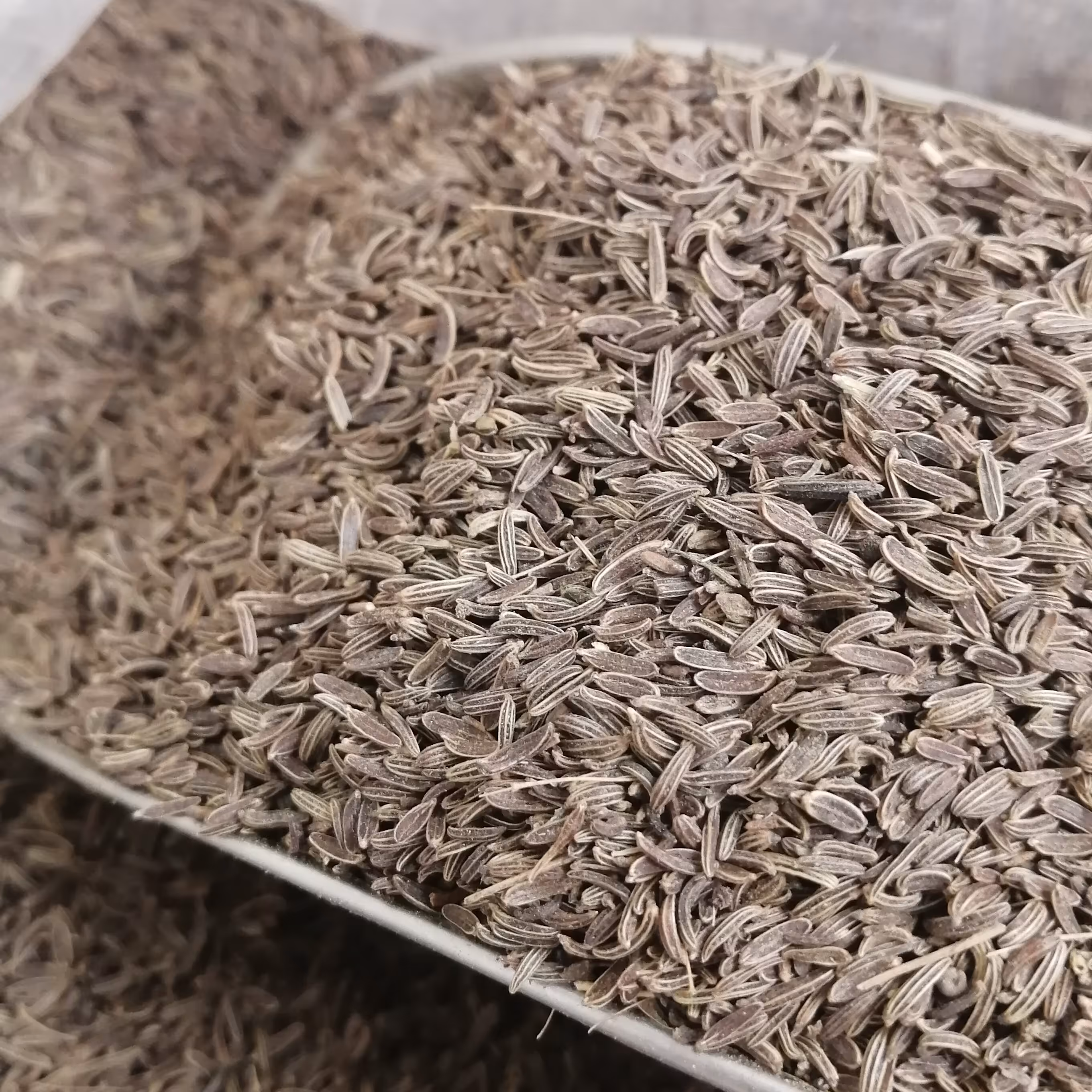 زیره کوهی (100 گرمی) 