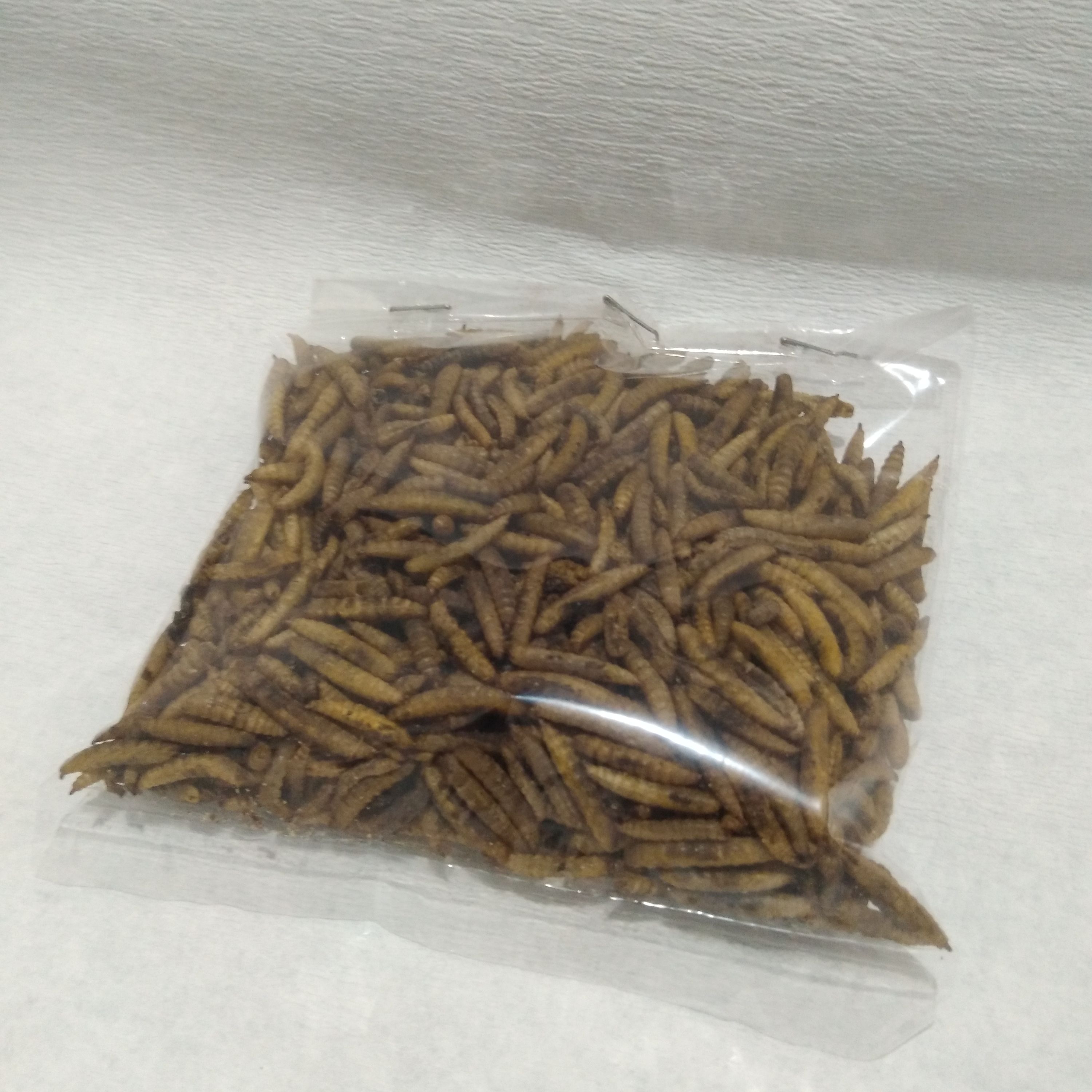غذای جوجه تیغی (لارو خشک مگس سرباز سیاه) 500گرمی