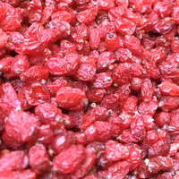 زرشک  سرخ پفکی لوکس 500 گرمی قاینات