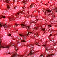 زرشک  سرخ پفکی لوکس 500 گرمی قاینات