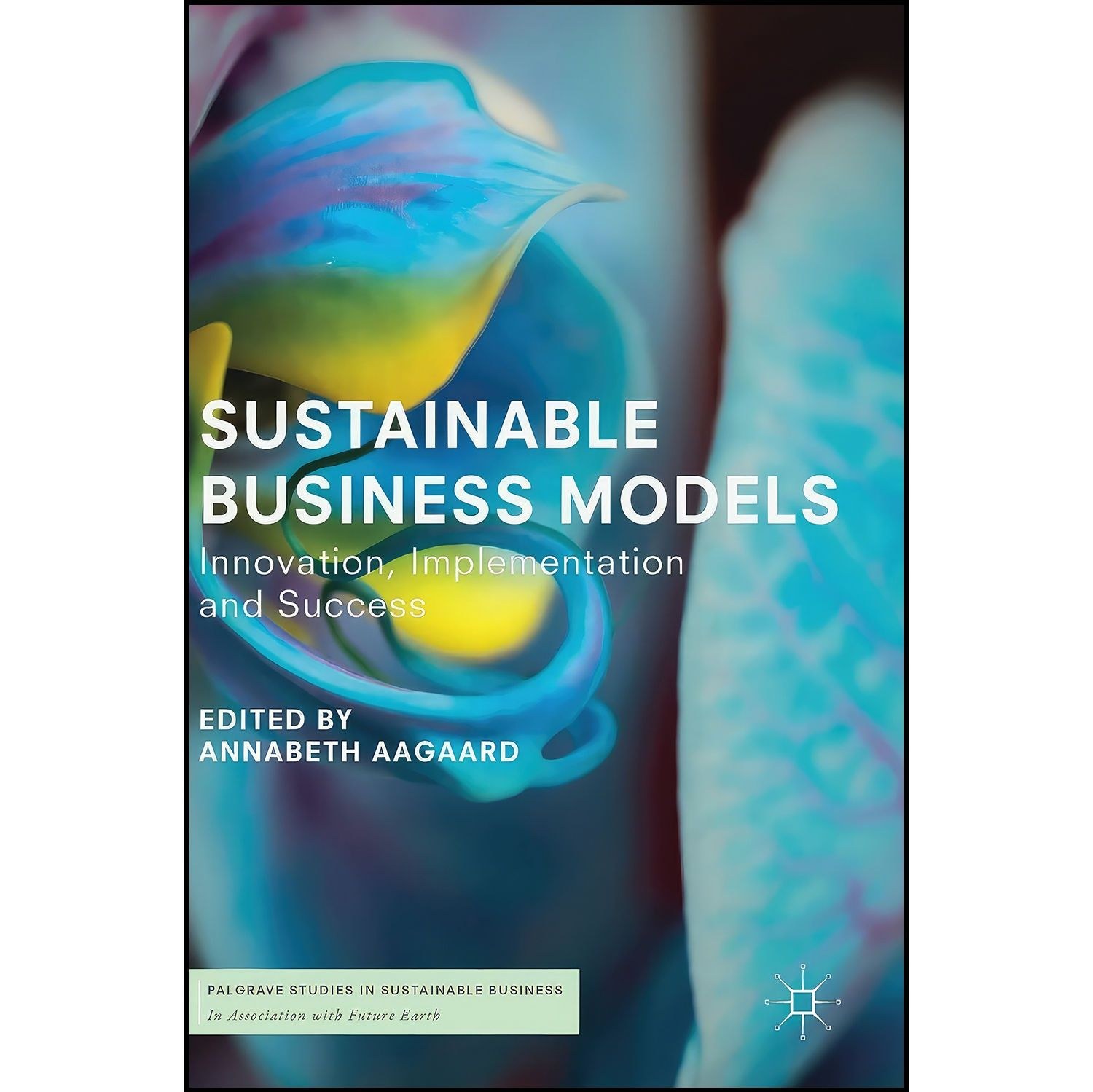 کتاب زبان اصلی Sustainable Business Models اثر Annabeth Aagaard