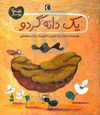 کتاب یک دانه گردو اثر محمدرضا شمس