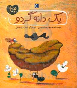 کتاب یک دانه گردو اثر محمدرضا شمس