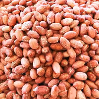 بادام زمینی درشت درجه یک -برشته و تازه بسته یک کیلویی