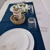 رانر ناهار خوری  ساده وخوشرنگ..