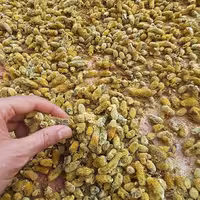 عرق بیدمشک خانگی  مفید برای قلب عروق آرامبخش 