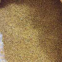 خاکشیر 150گرم