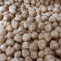 مغز فندق ترک سفید و  بدون پوست 