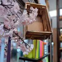 باکس تولد چوبی.جعبه کادویی چوبی.باکس  گل