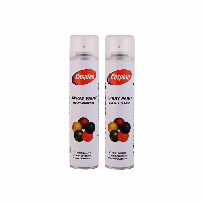 اسپری کیلر کاسپین مدل Professional حجم 300 میلی لیتر مجموعه 2 عددی