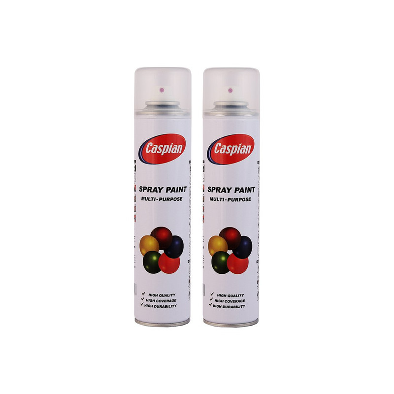 اسپری کیلر کاسپین مدل Professional حجم 300 میلی لیتر مجموعه 2 عددی