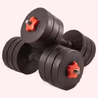 دمبل 25 کیلوگرمی 