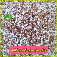 خاک مخصوص کاشت قلمه جهت ریشه زایی و تکثیر  انواع  گل و گیاه 