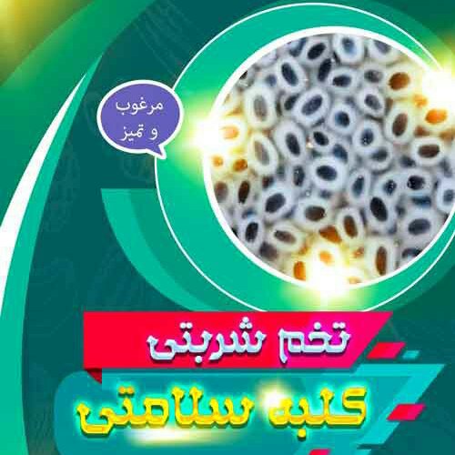 تخم شربتی درشت همدان بسیار تمیز