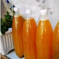 آبغوره محلی گیلان بدون جوش دادن ونمک (ارسال با تیپاکس پس کرایه)