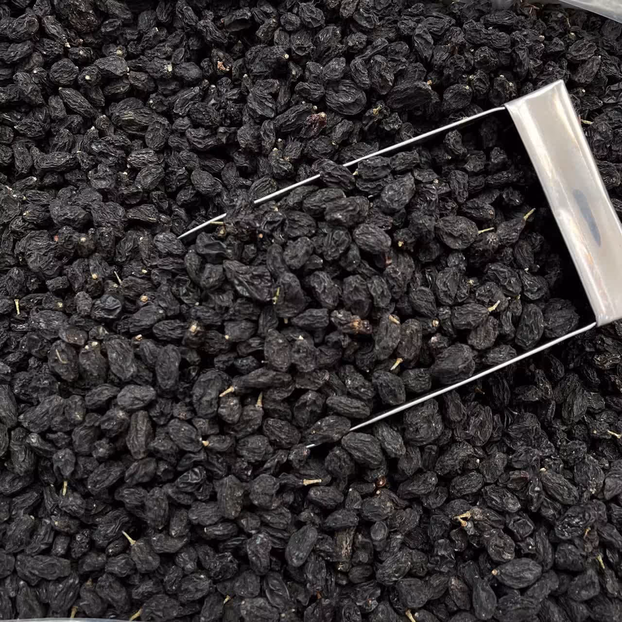 مویز سیاه بدون هسته سایز ریز یک کیلویی