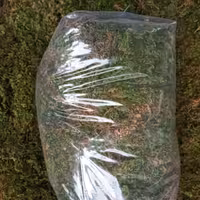 خزه اسفاگنوم (بدون رطوبت)