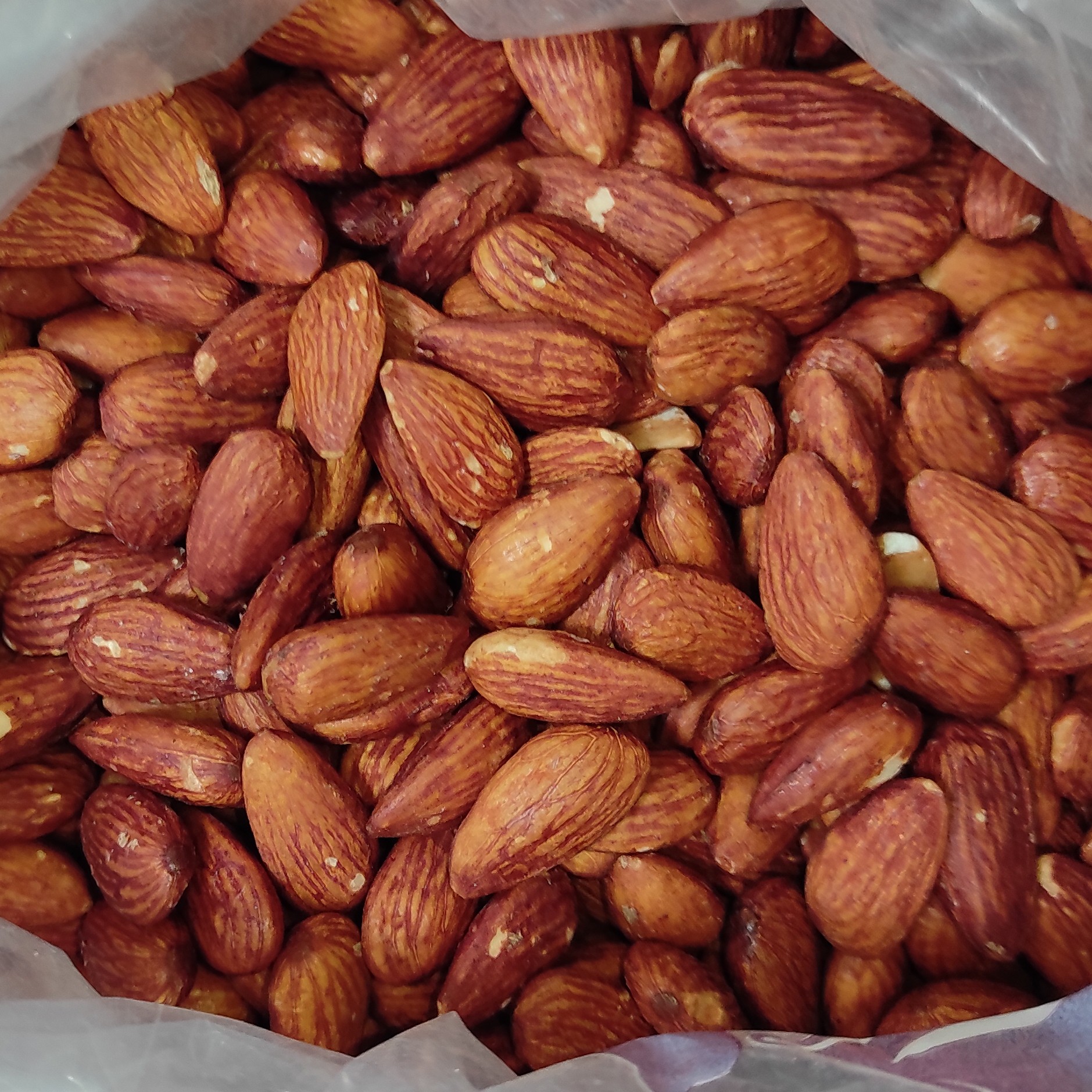 بادام درختی