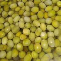 زیتون با هسته ، زرده زیتون ،محصول طارم