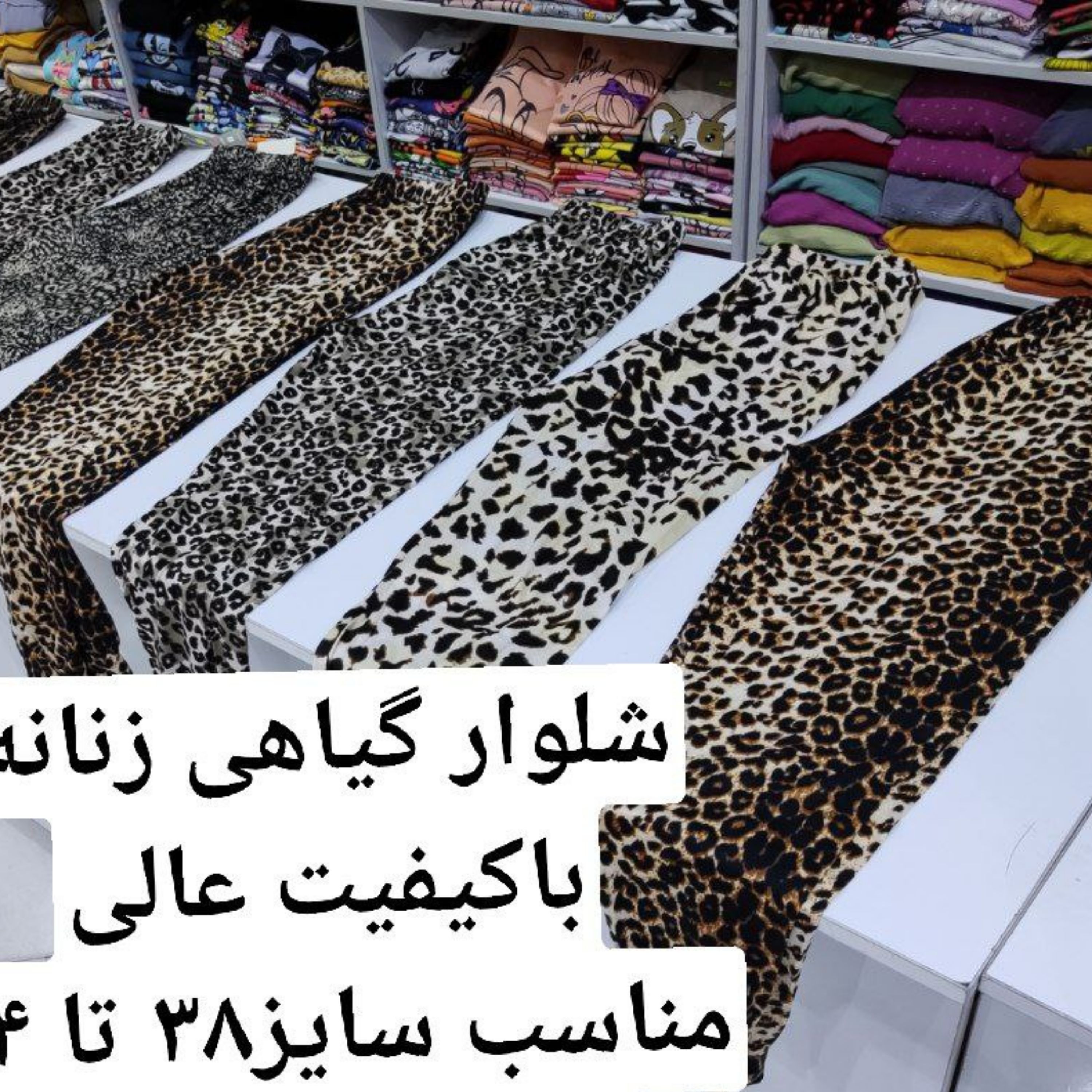 شلوار زنانه
