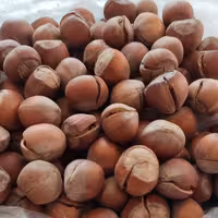 فندق با پوست ترک خورده 900 گرمی(تضمین کیفیت)