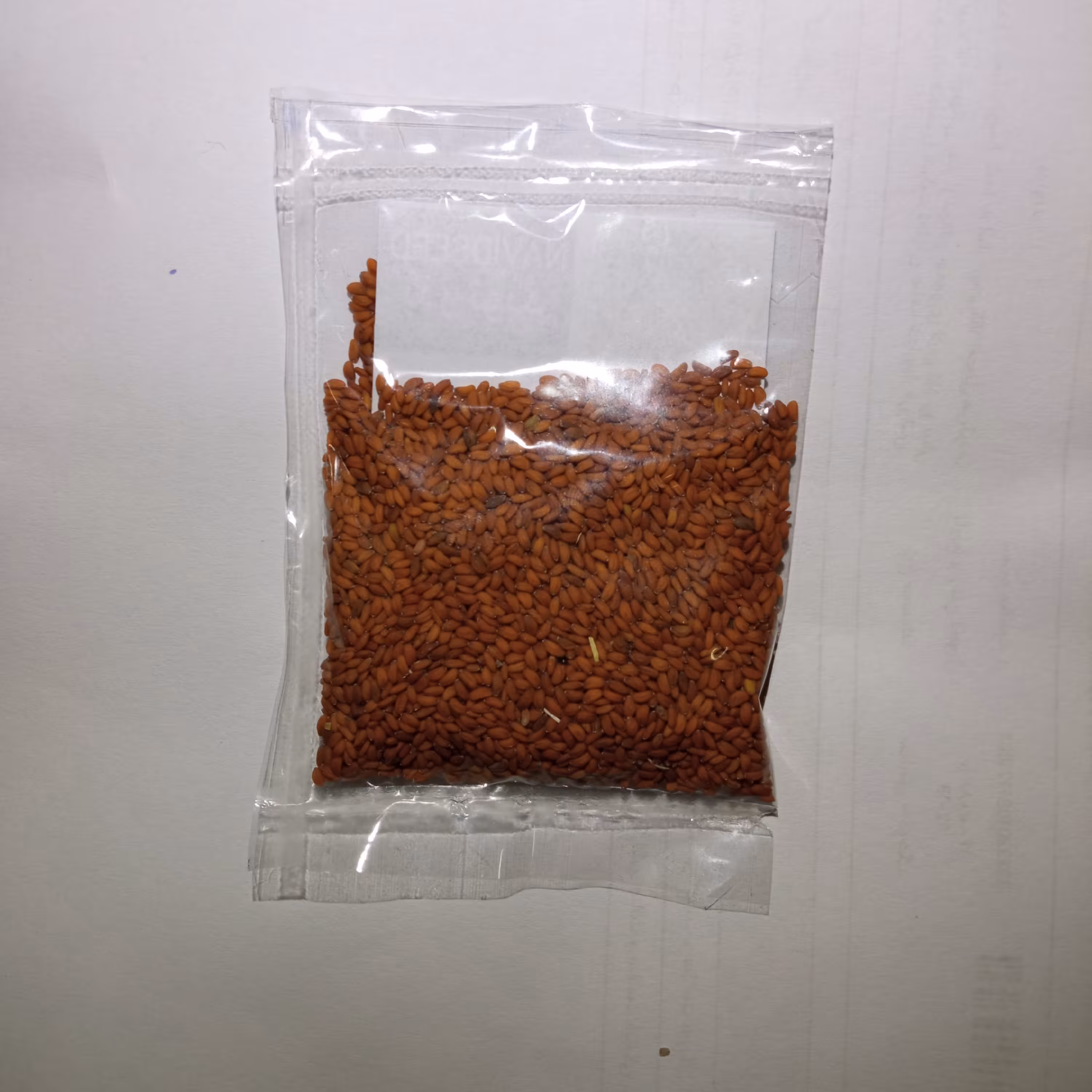بذر شاهی برگ ریز اعلاء بسته 10 گرمی