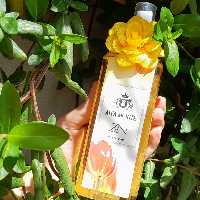 بادی پرفیوم ذن آلفامونته