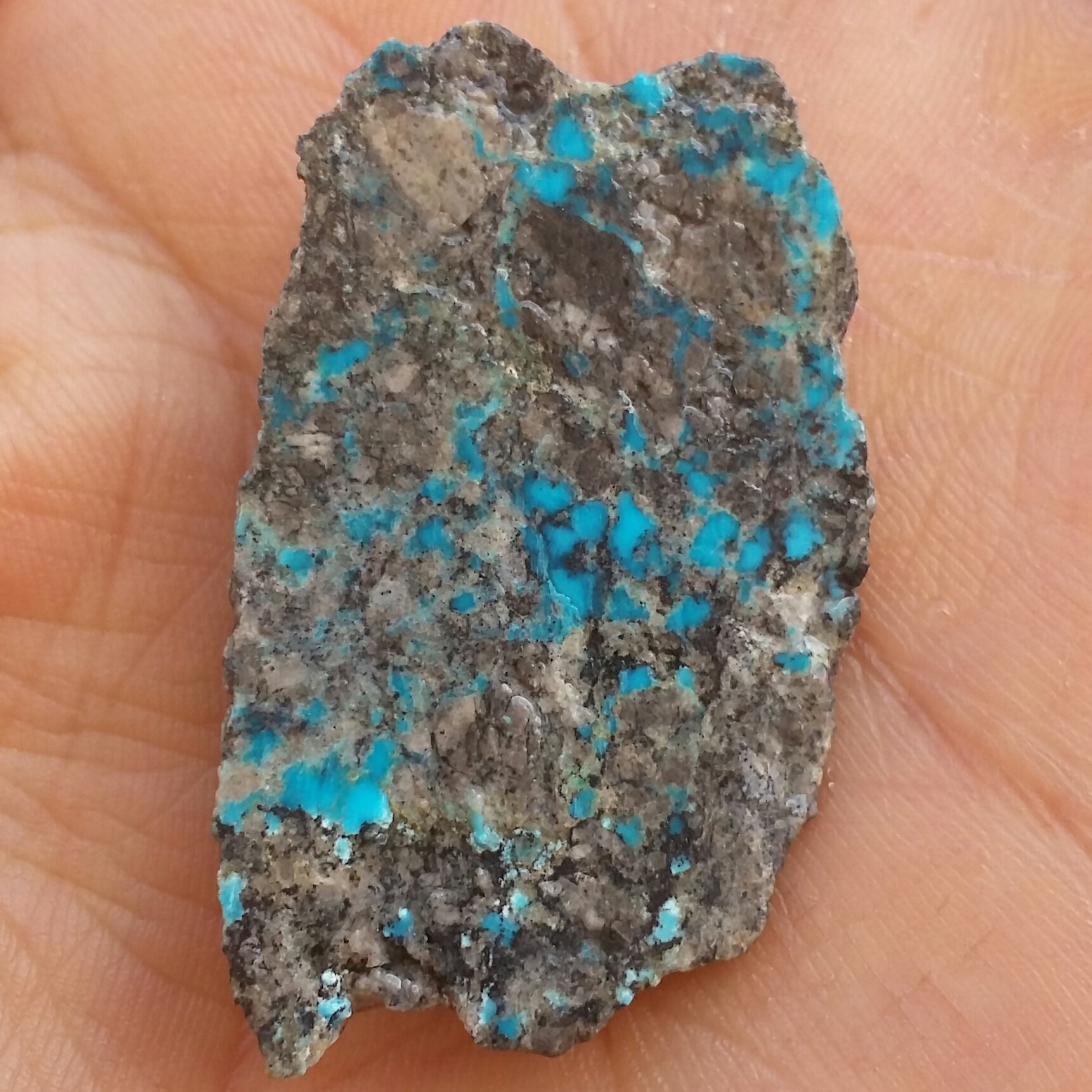 اسلایس سنگ راف فیروزه آبی عنکبوتی اصل نیشابور 100 در 100 طبیعی شاهکار خلقت
سایز مدالی
درشت خاص