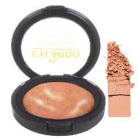 رژ گونه تراکوتا ایلاردو شماره 304