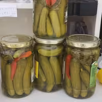 خیارشور خانگی