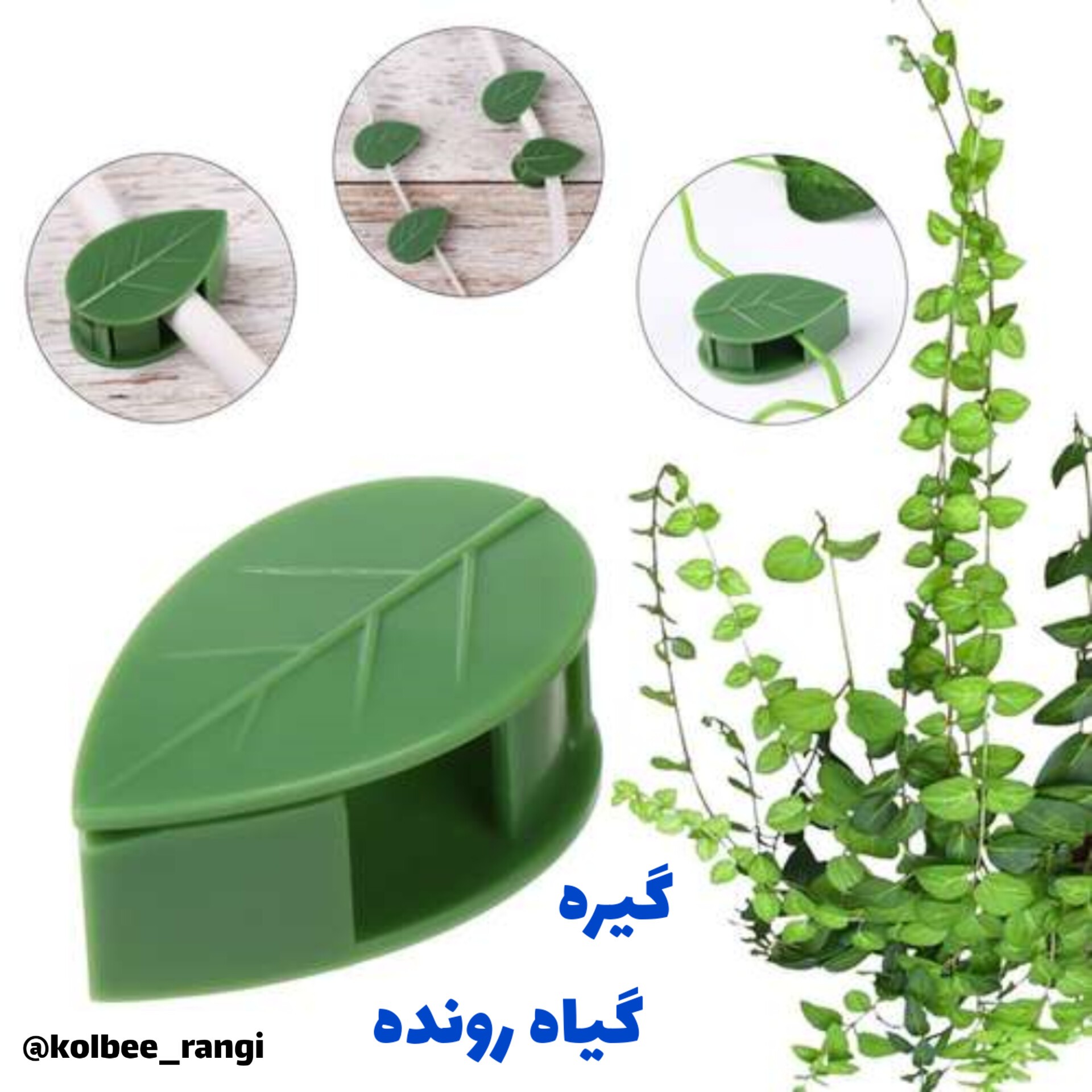 گیره گیاه رونده و پتوس (بسته 10 عددی)