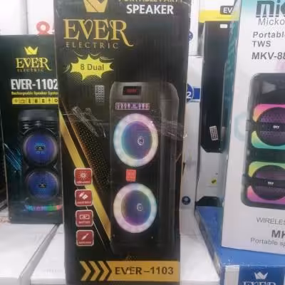 اسپیکر مدل EVER - 1103 قابل حمل و شارژی بلوتوسی فلش خور