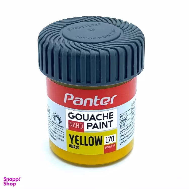 گواش پنتر کد 170