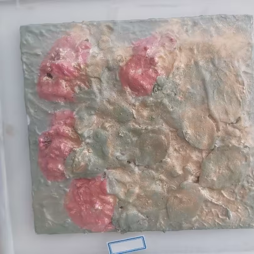 تابلو هنری و تزیینی شقایق های صورتی کوچک