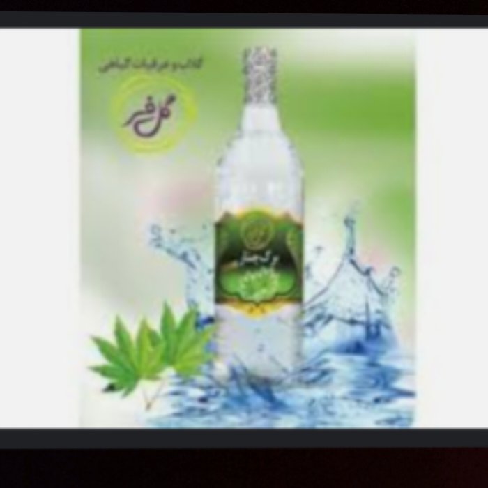 عرق برگ چنار (تب بر)