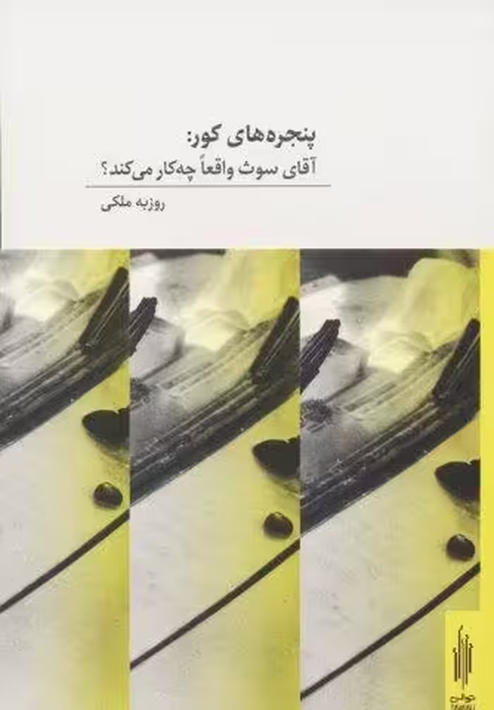 پنجره های کور:آقای سوث واقعا چه کار می کند؟ (2زبانه)