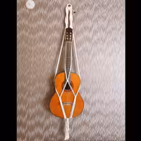 هولدر گیتار 